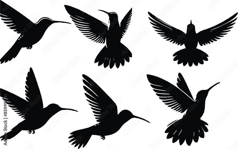 Hummingbird Silhouettes set. Hummingbird Silhouettes set.