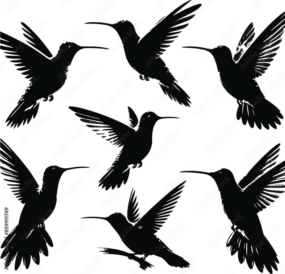Obraz premium Hummingbird Silhouettes set