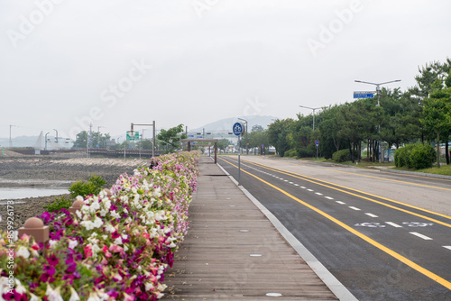 Road with bike paths and walking trails
