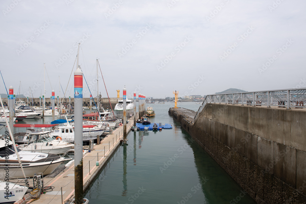 Fototapeta premium Big and small yachts anchored in the port 