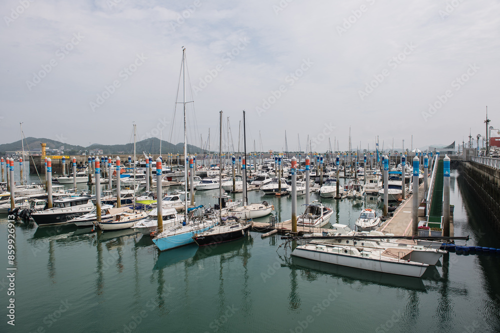 Fototapeta premium Big and small yachts anchored in the port 