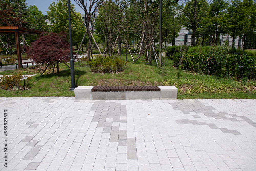 Fototapeta premium Park scenery with trees and benches 