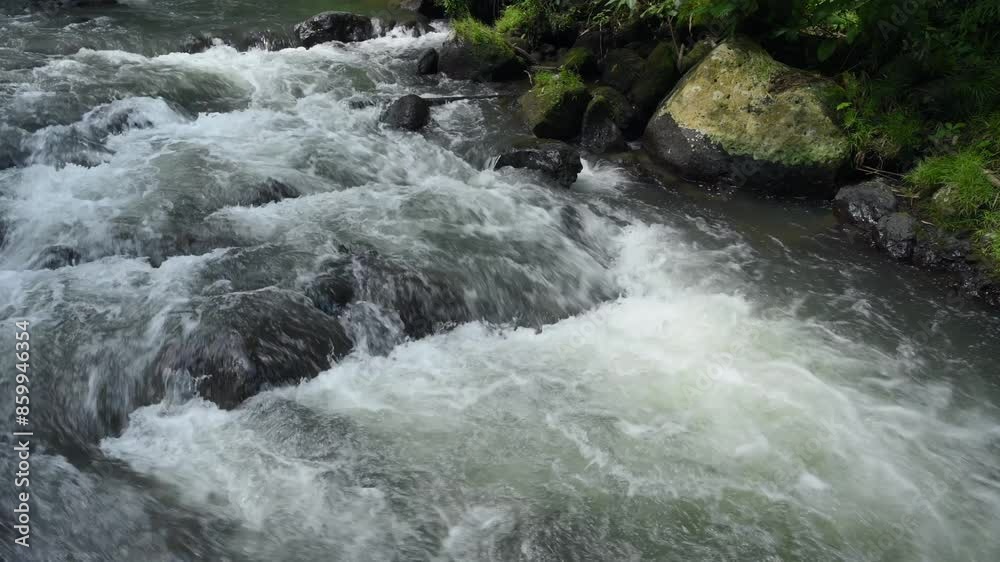 River in tropical green rainforest, 4K Aerial drone top view shot River in tropical green rainforest, 4K Aerial drone top view shot