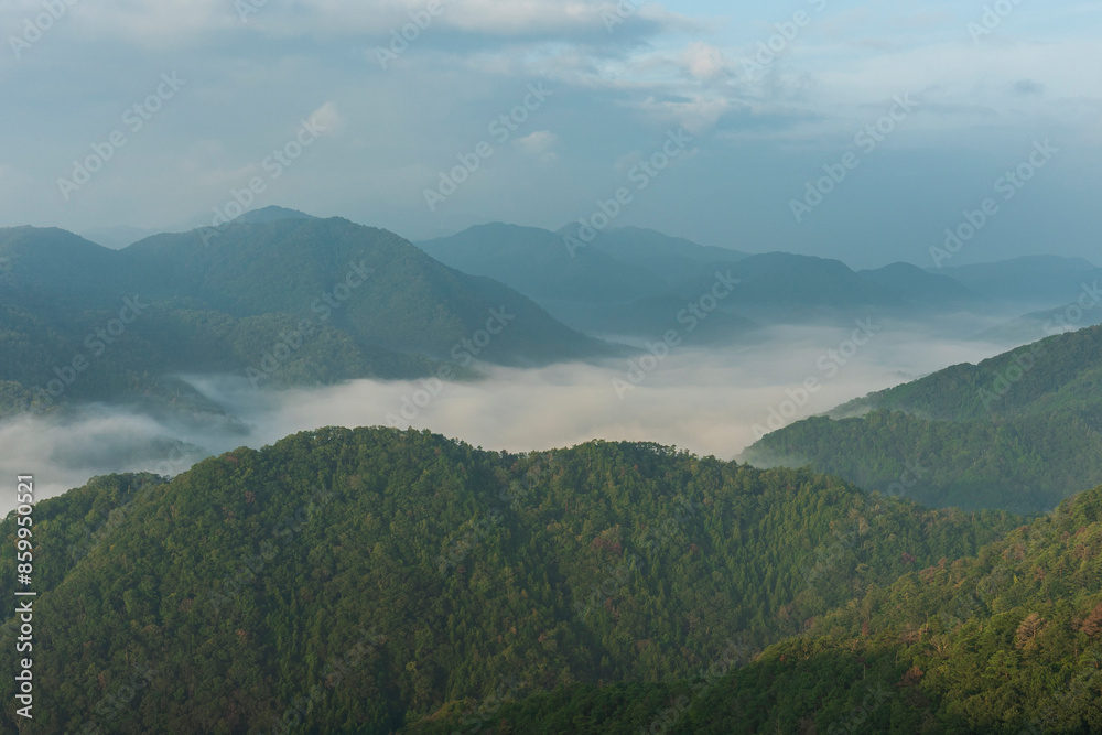 Fototapeta premium 広島市荒谷山から見える雲海