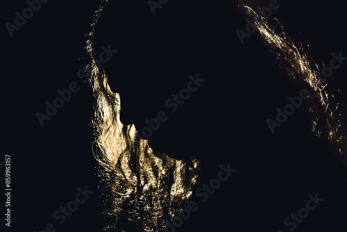 Obraz na płótnie MAN WITH LONG HAIR SILHOUETTE BACKLIT