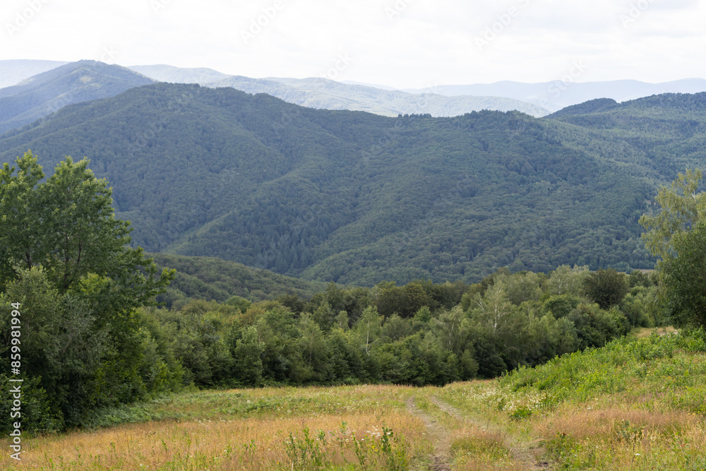 Mountain path on hill in summer landscape Mountain path on hill in summer landscape