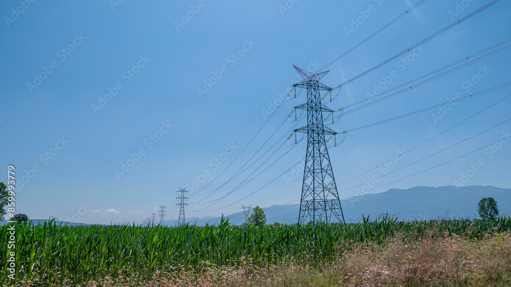 electric poles in the middle of the field electric poles in the middle of the field