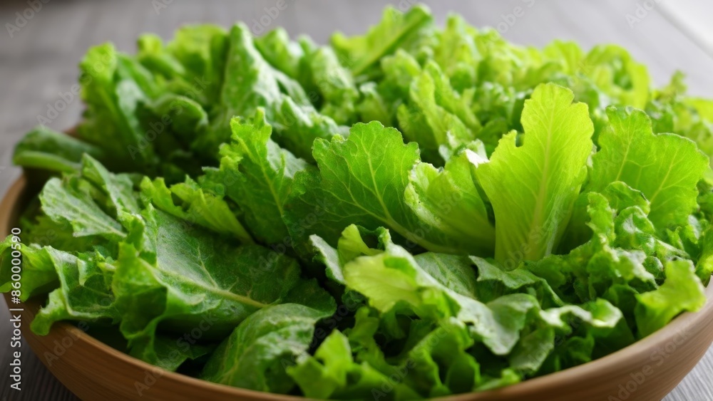 Fresh and vibrant salad greens Fresh and vibrant salad greens