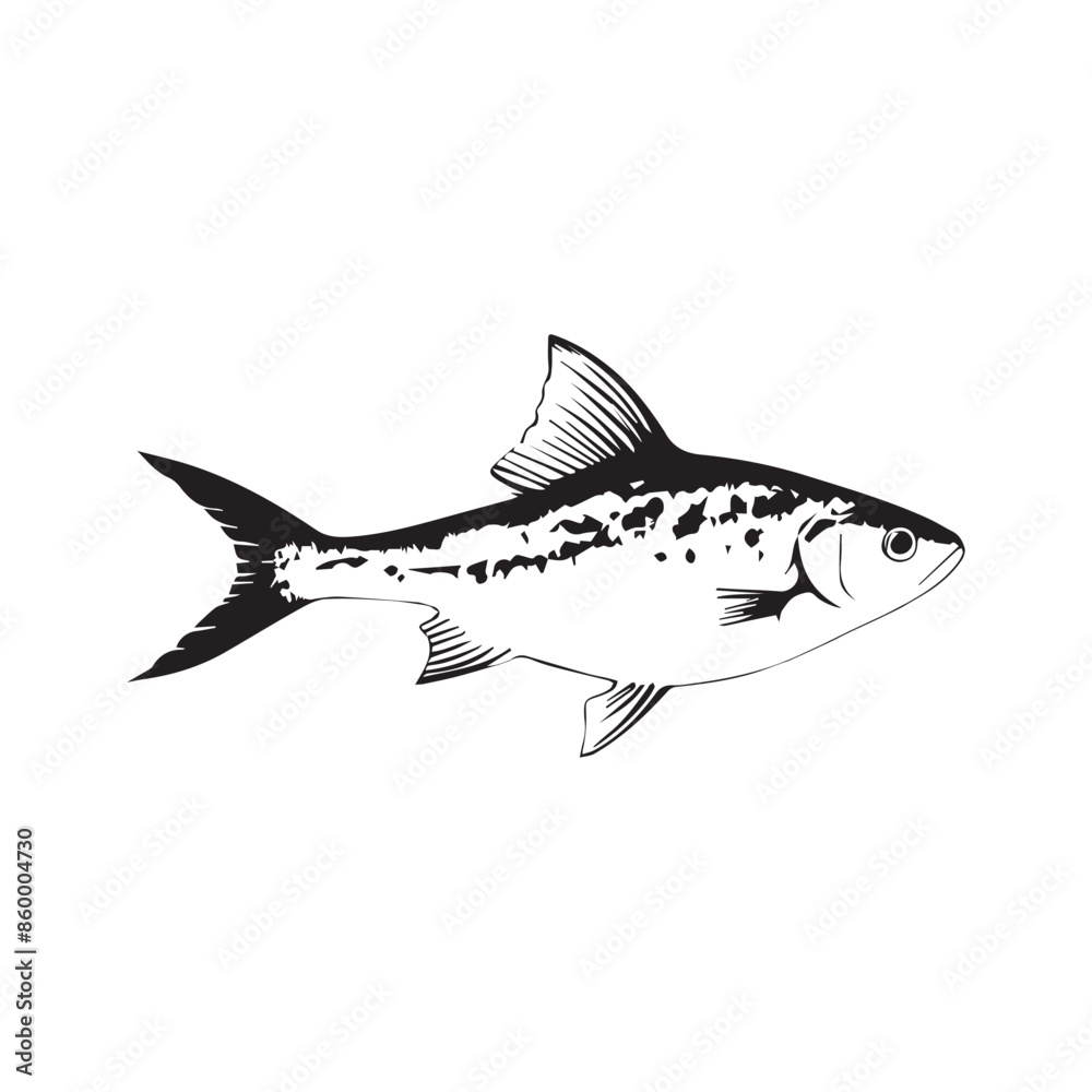 Obraz premium Fish silhouette white vector illustration.