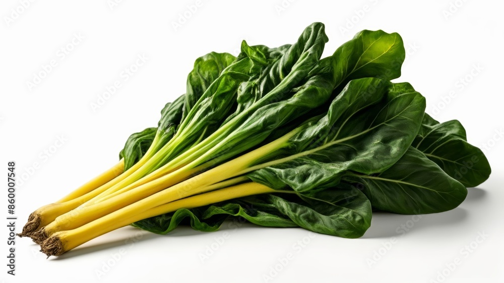 Fresh and vibrant green leafy vegetable Fresh and vibrant green leafy vegetable