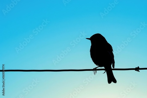 Small songbird perched on a wire, silhouetted against a clear blue sky.