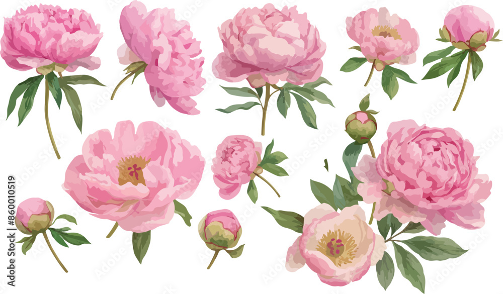 pink peony watercolor clipart pink peony watercolor clipart