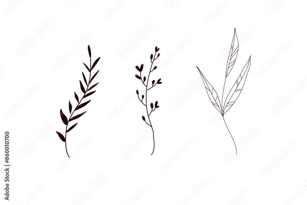 Fototapeta premium Set botanical arts. Hand drawn continuous line drawing of abstract flower, floral, herb. Vector line art illustration.