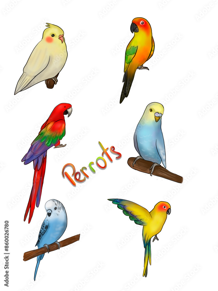 Naklejka premium set of parrots