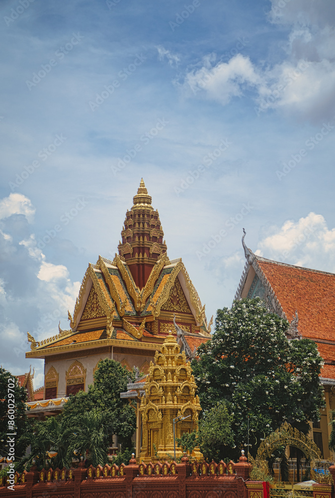 Fototapeta premium Traveling