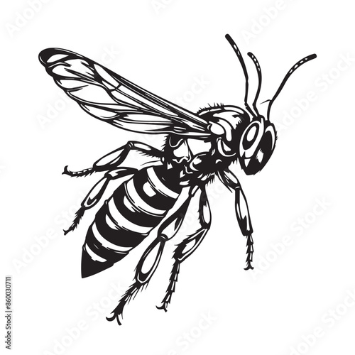 fly line art vector in black and white high quality for prints logo coloring