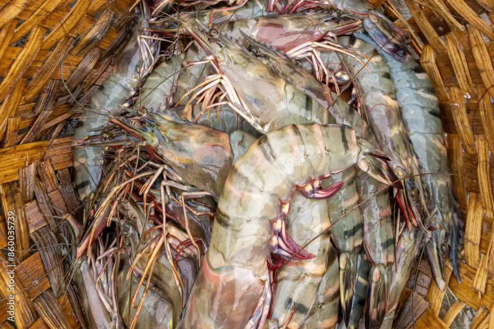 Fresh varieties of sea food meat like fishes, crabs, shrimp, prawns, squid, cuttlefish, octopus, sharks, dry fish, etc,. Selling at Chennai Kasimedu - the largest fish market place in south india. Fresh varieties of sea food meat like fishes, crabs, shrimp, prawns, squid, cuttlefish, octopus, sharks, dry fish, etc,. Selling at Chennai Kasimedu - the largest fish market place in south india.