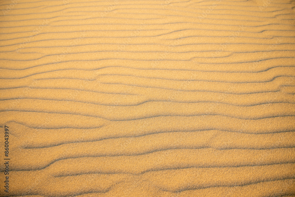 鳥取砂丘の美しい風景Beautiful scenery of Tottori Sand Dunes in Japan 鳥取砂丘の美しい風景Beautiful scenery of Tottori Sand Dunes in Japan