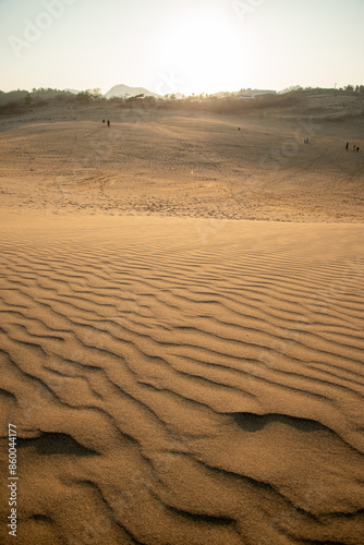 Fototapeta Naklejka Na Ścianę i Meble -  鳥取砂丘の美しい風景Beautiful scenery of Tottori Sand Dunes in Japan