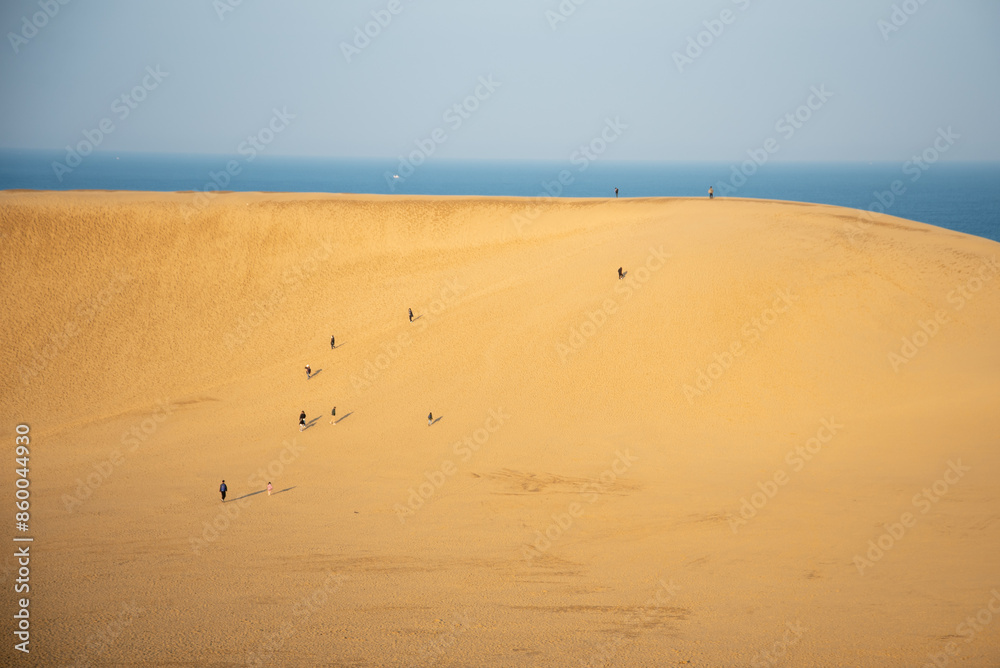 鳥取砂丘の美しい風景Beautiful scenery of Tottori Sand Dunes in Japan 鳥取砂丘の美しい風景Beautiful scenery of Tottori Sand Dunes in Japan