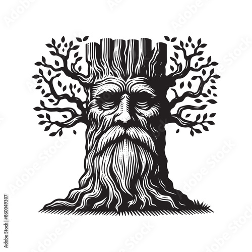 An old tree with an old man's face. Vintage vector engraving illustration. cut out, isolated. Black white