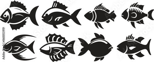 black and white fishes
