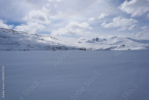 snow covered mountains - Alaska
