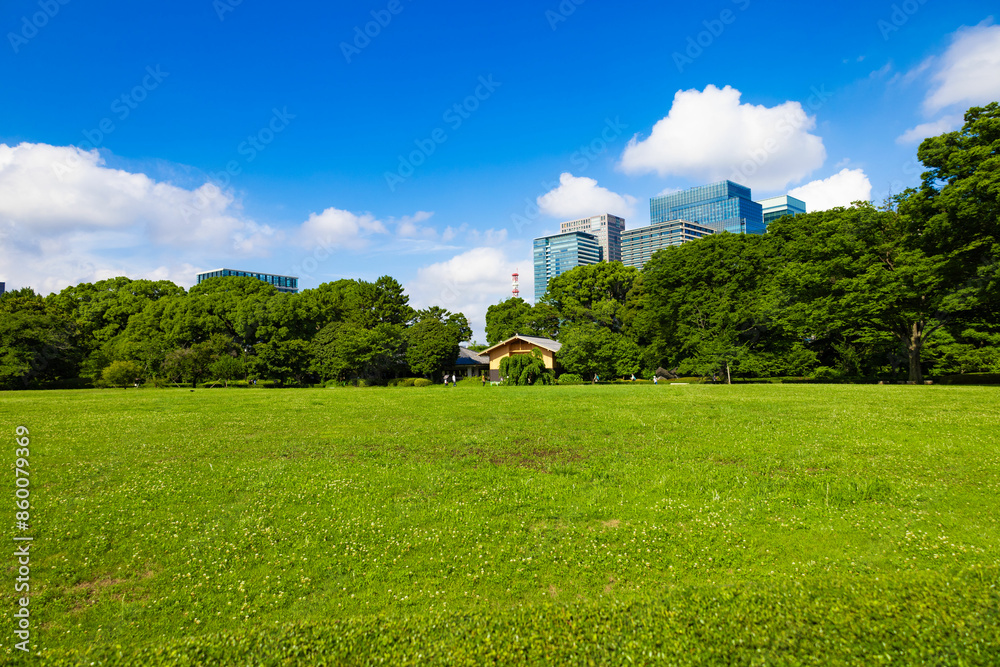 皇居東御苑・江戸城跡の公園の木々越しに見える、都会・丸ノ内・大手町・日比谷のビル(東京都千代田区) 皇居東御苑・江戸城跡の公園の木々越しに見える、都会・丸ノ内・大手町・日比谷のビル(東京都千代田区)