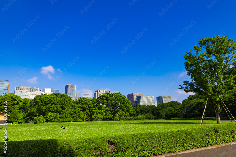 皇居東御苑・江戸城跡の公園の木々越しに見える、都会・丸ノ内・大手町・日比谷のビル(東京都千代田区) 皇居東御苑・江戸城跡の公園の木々越しに見える、都会・丸ノ内・大手町・日比谷のビル(東京都千代田区)