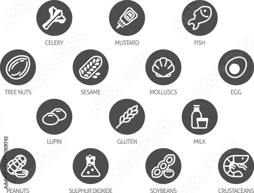 Food allergen allergy icons. include big 8 FDA Major Allergens and 14 food allergies from the EU Food Information for Consumers Regulation EFSA European Food Safety Authority Annex II