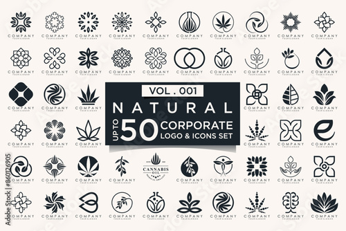 creative leaf logo icon set. Abstract design eco logo, green leaf seedling, growing plant.