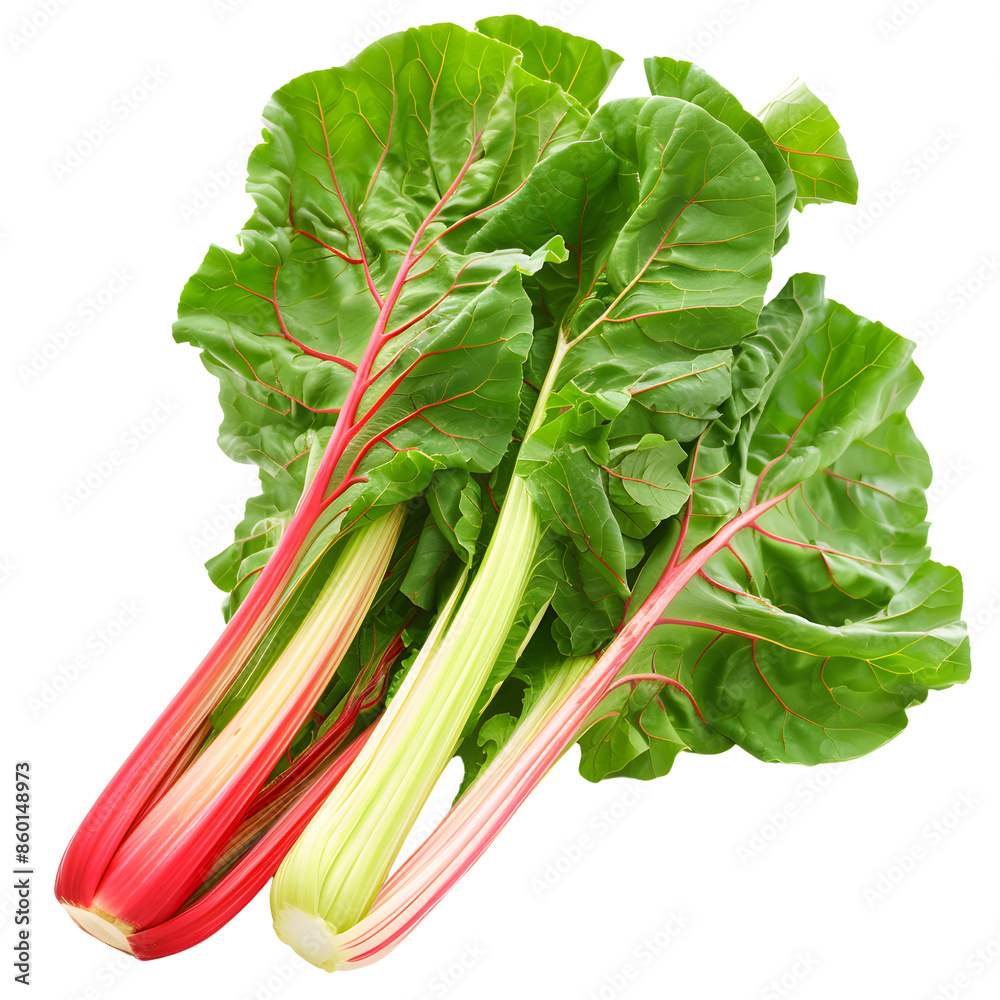 Fresh vibrant Swiss chard leaves with colorful stems isolated on isolated on transparency PNG background, showcasing healthy greens and vivid colors. Fresh vibrant Swiss chard leaves with colorful stems isolated on isolated on transparency PNG background, showcasing healthy greens and vivid colors.