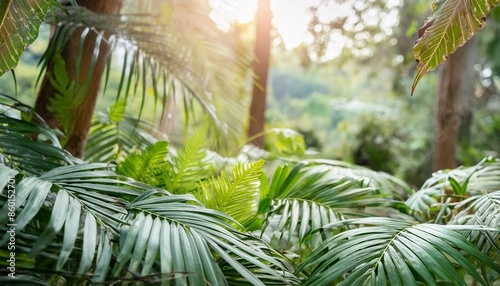 close up of lush green tropical vegetation jungle with palm leaves in sunshine beauty in nature banner concept for wallpaper
