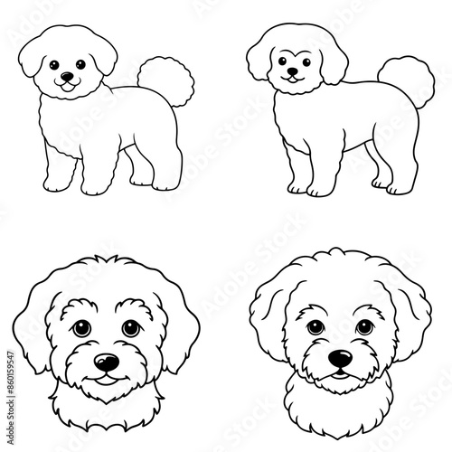 Bichon Frise dog pet portrait full body in stencil line art vector illustration, isolated on transparent background photo