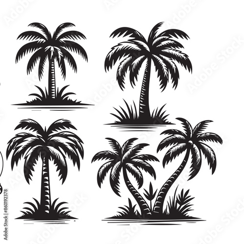 palm trees silhouettes