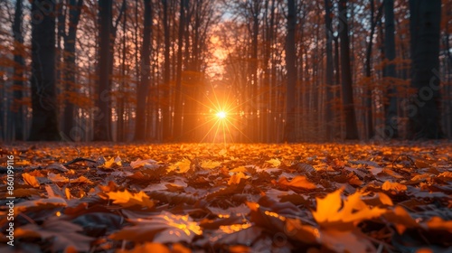 commercial photo, Autumn forest, autumn atmosphere, autumn leaves, AI Generative © น้ำฝน สามารถ