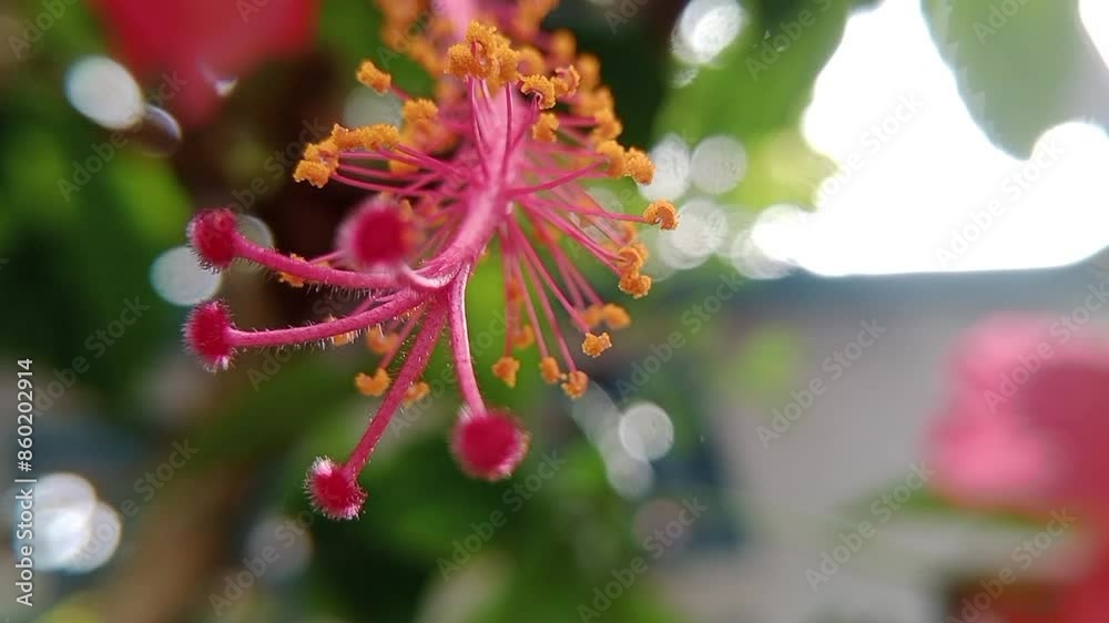Micro shot of the Flower Micro shot of the Flower