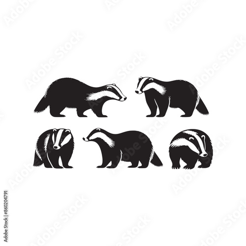 Beautiful badger silhouette for any design - badger illustration - minimalist badger vector

