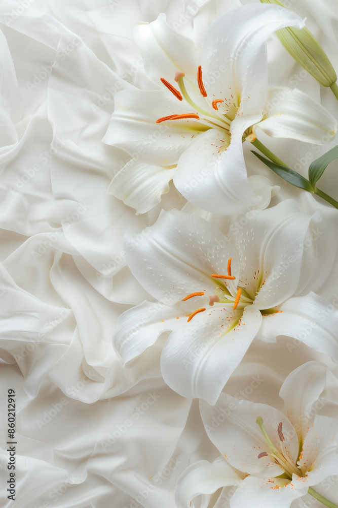 A light background framed with pure white lily petals , color pop contrast A light background framed with pure white lily petals , color pop contrast