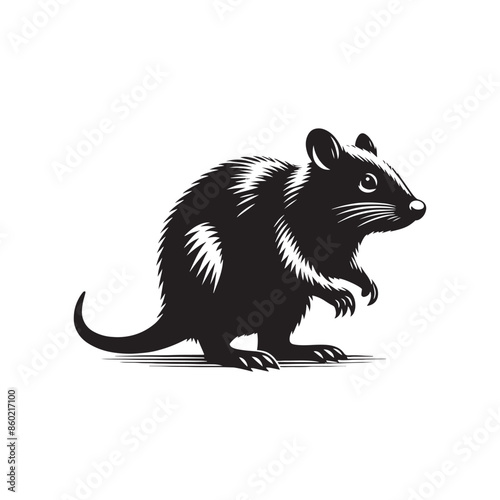 Clean bandicoot silhouette for educational use - bandicoot black vector
