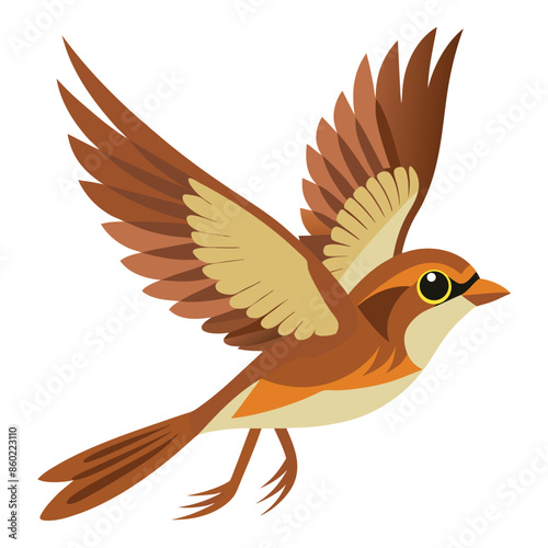 Saltmarsh Sparrow flying on white
