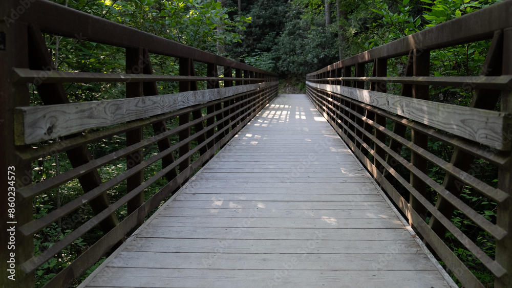 Wooden pedestrian bridge leading through a dense forest, casting shadows and light patterns along the path. Wooden pedestrian bridge leading through a dense forest, casting shadows and light patterns along the path.