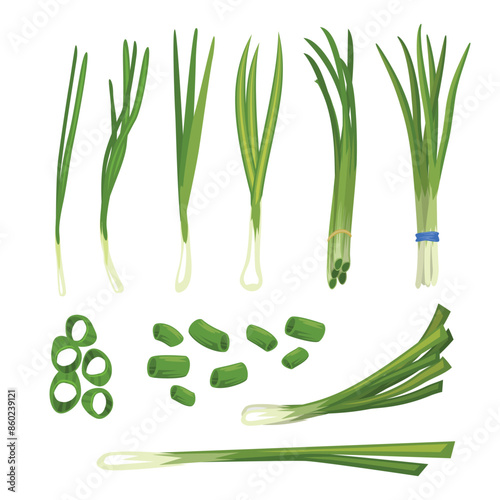 Set of chives set collection with slices green onion, verdure bunch. Chopped green chives, Green spring onion chopped chives, fresh cut green onion plant Healthy vegetarian food and spice. 
