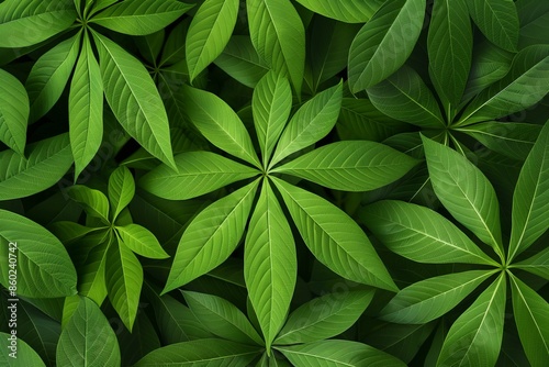 Green leaves forming a beautiful natural pattern, creating a lush and vibrant background perfect for nature-inspired design projects.