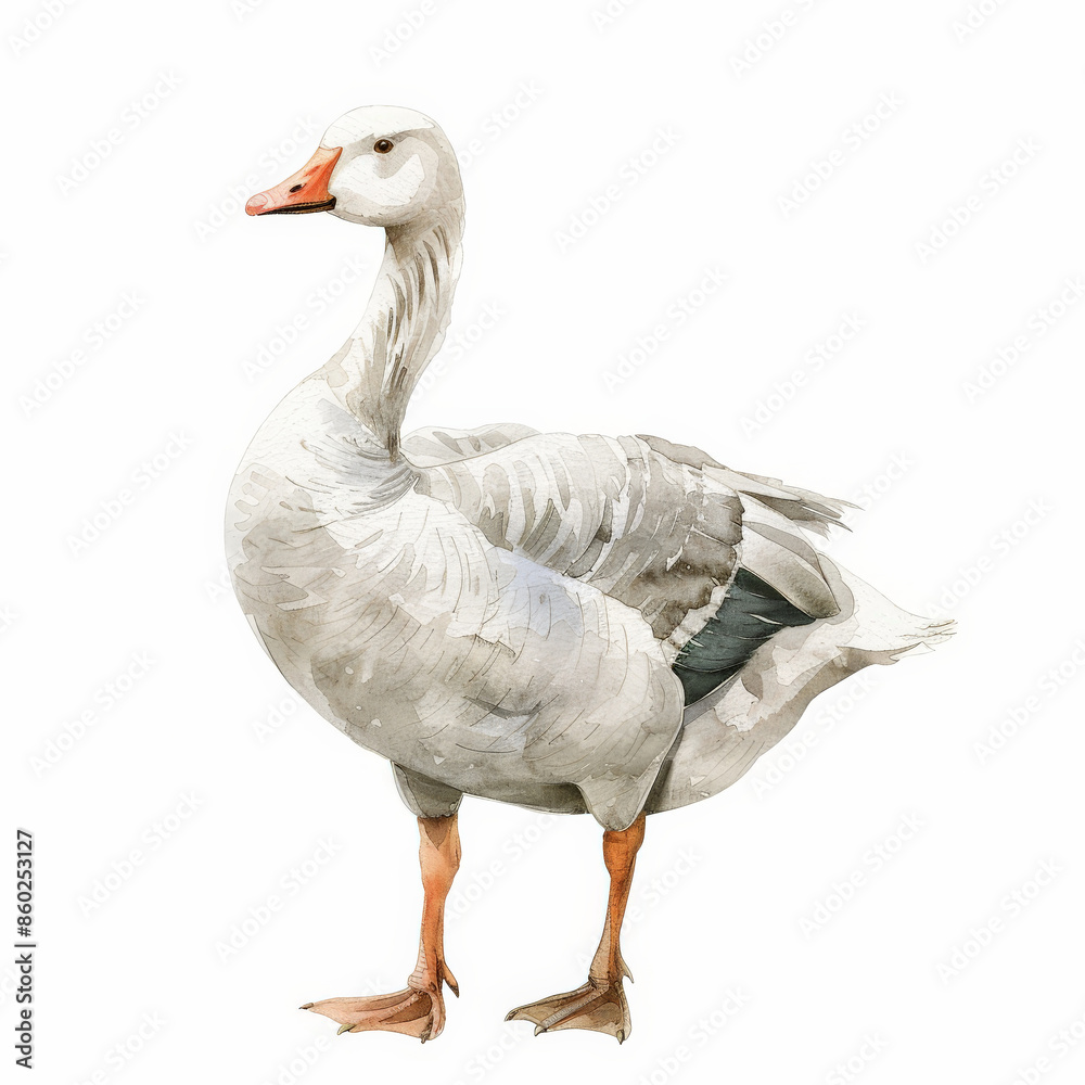 A gentle goose with a serene look, rendered in soft watercolor shades, beautifully isolated on a pristine white background A gentle goose with a serene look, rendered in soft watercolor shades, beautifully isolated on a pristine white background