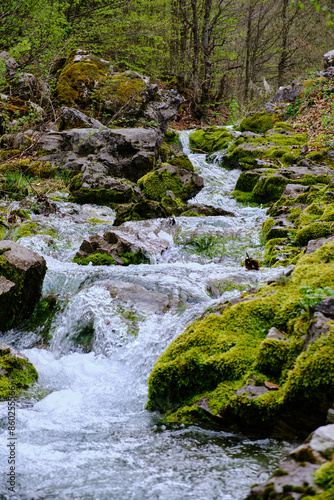 River in the forest in National Park Prokletije, Montenegro photo