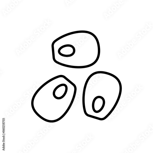 Corn outline icons, minimalist vector illustration ,simple transparent graphic element .Isolated on white background