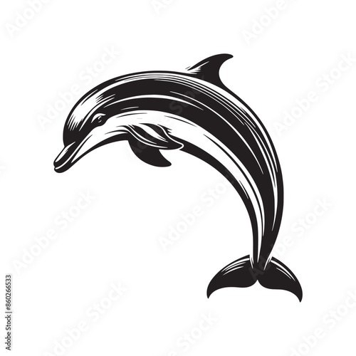 Elegant bottlenose dolphin silhouette for design work - sea life vector - dolphin black vector
