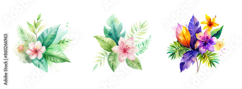 Colorful watercolor flower set, beautifully illustrated in transparent Png format. Art of a lovely set of watercolor flowers.