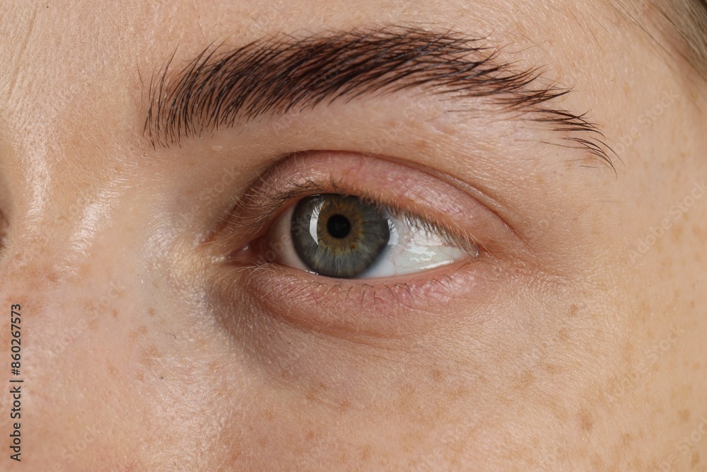Obraz premium Macro photo of woman with beautiful eyes